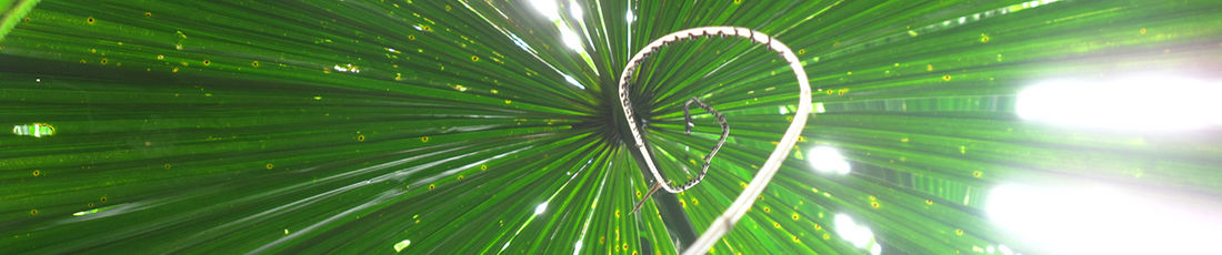 Marion Grimm,  Die Perspektive ändern